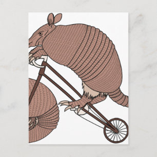Carte Postale Armadillo Vélo D'Équitation Avec Roue Armadillo