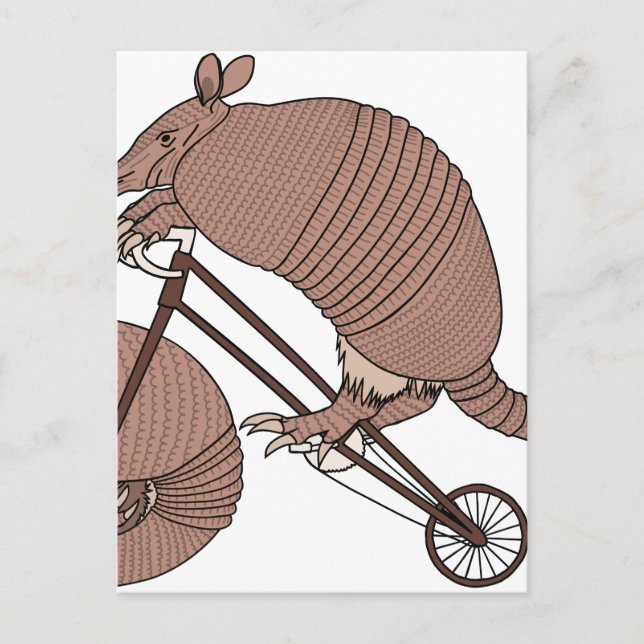 Carte Postale Armadillo Vélo D'Équitation Avec Roue Armadillo (Devant)