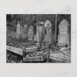 Carte Postale ArnosVale4
