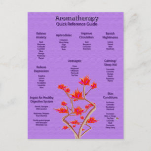 Carte Postale Aromathérapie Graphique en Lavande