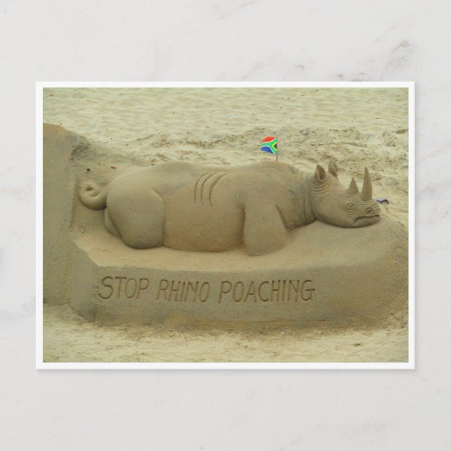Carte Postale arrêter le braconnage rhinocéros (Devant)
