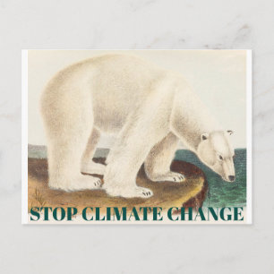 Carte Postale Arrêter les changements climatiques Menacé Ours po