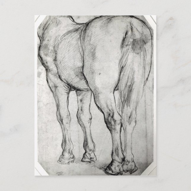 Carte Postale Arrière du cheval (Devant)