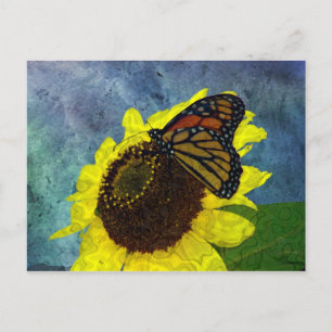 Carte Postale Arrière - plan bleu papillon et tournesol
