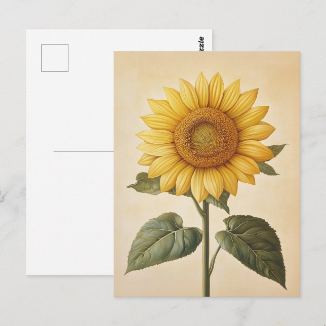 Carte Postale Arrière - plan d'aquarelle jaune tournesol (Devant / Derrière)