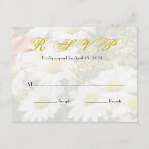 Carte Postale Arrière - plan de marguerite Flowy Jaune Mariage d
