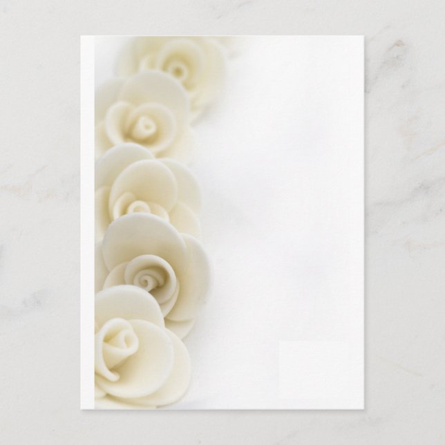 Carte Postale arrière - plan de roses blanches (Devant)