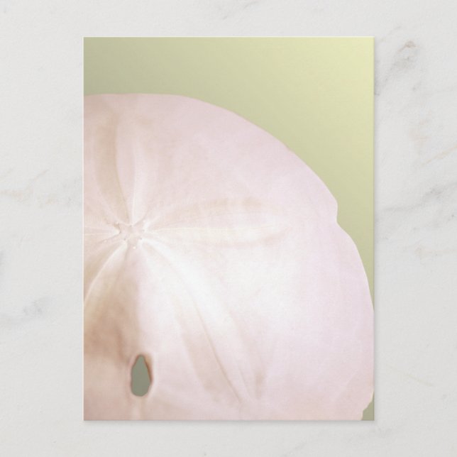 Carte Postale Arrowhead (Devant)