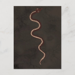 Carte Postale Art aborigène australien du serpent du désert