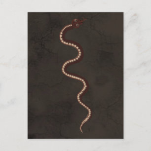 Carte Postale Art aborigène australien du serpent du désert