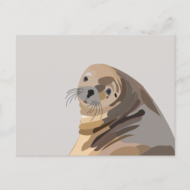 Carte Postale Art animal Lion de mer (Devant)