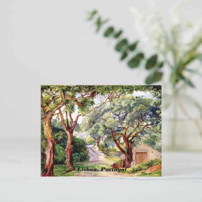 Carte Postale Art botanique : Chênes-lièges à Cintra près de Lis (Debout devant)