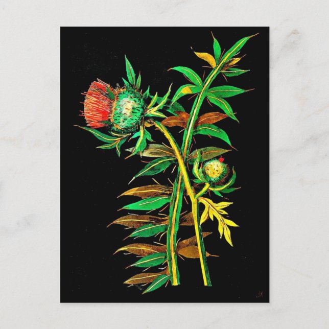 Carte postale-Art botanique-Mary Delany 6 (Devant)