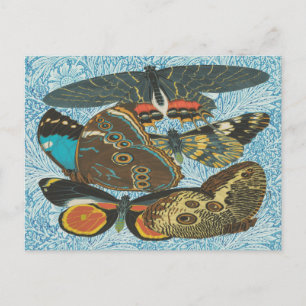Carte Postale Art botanique vintage de papillon coloré
