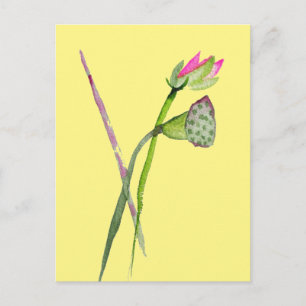 Carte Postale Art bouddhiste fleur Zen Lotus rose