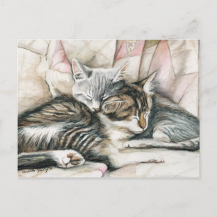 Carte postale Art Chat Chatons