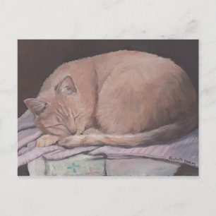 Carte postale Art Chat Kitty Sleeping