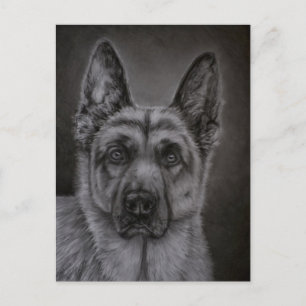 Carte Postale Art de Berger Allemand - Noble
