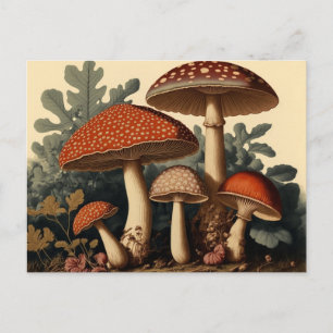 Carte Postale Art de champignon Cottagecore inspiré de l'ancien