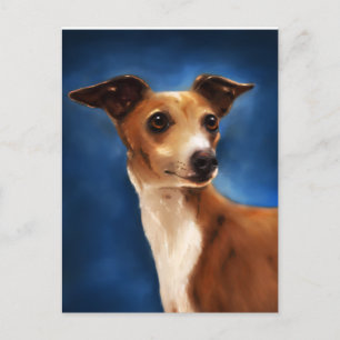 Carte Postale Art de Chien gris italien - Magnifico