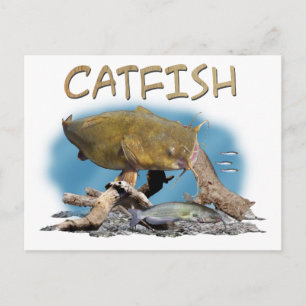Carte Postale Art de la pêche à la catfish