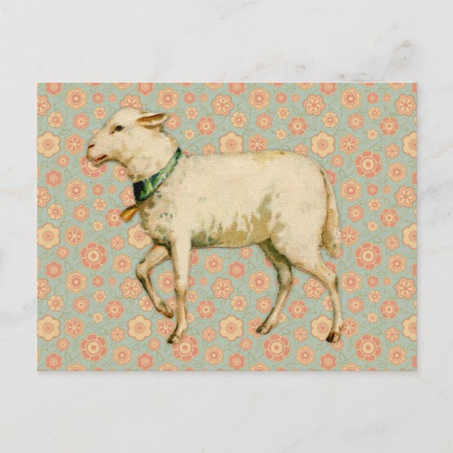 Carte Postale Art de l'agneau vintage (Devant)