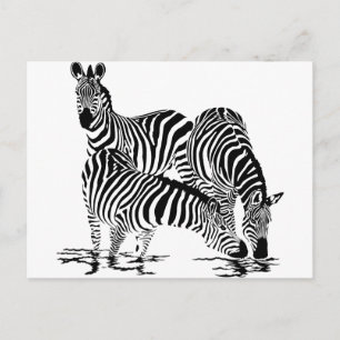 Carte Postale Art déco Zebra