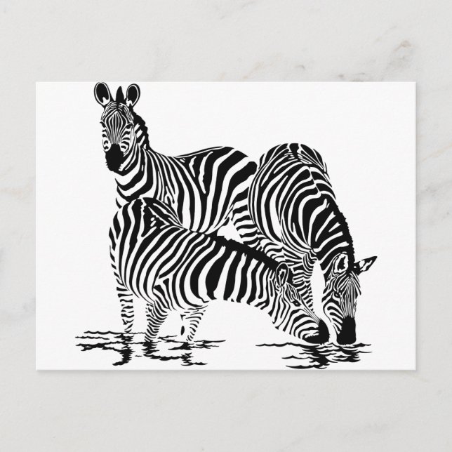 Carte Postale Art déco Zebra (Devant)