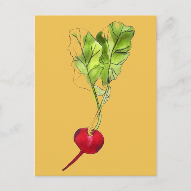 Carte Postale Art d'illustration d'aquarelle végétale Radical (Devant)