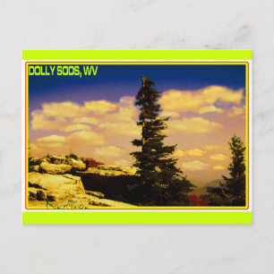 CARTE POSTALE ART "DOLLY SODS"