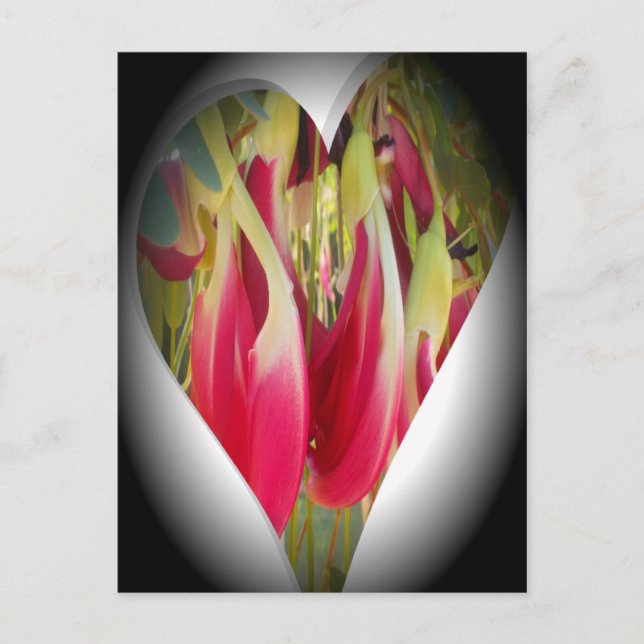 Carte Postale Art du coeur floral (Devant)