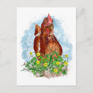 Carte Postale Art du poulet tiré à la main