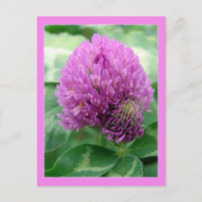 Carte Postale Art du vêtement (Devant)