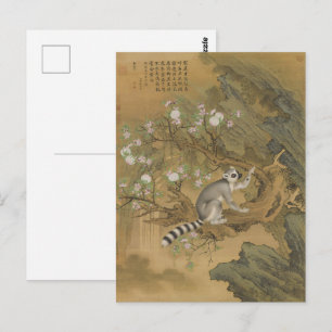 Carte Postale Art fin de lémurien de Cochin