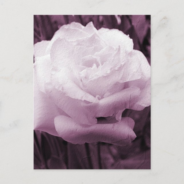 Carte Postale Art floral (Devant)