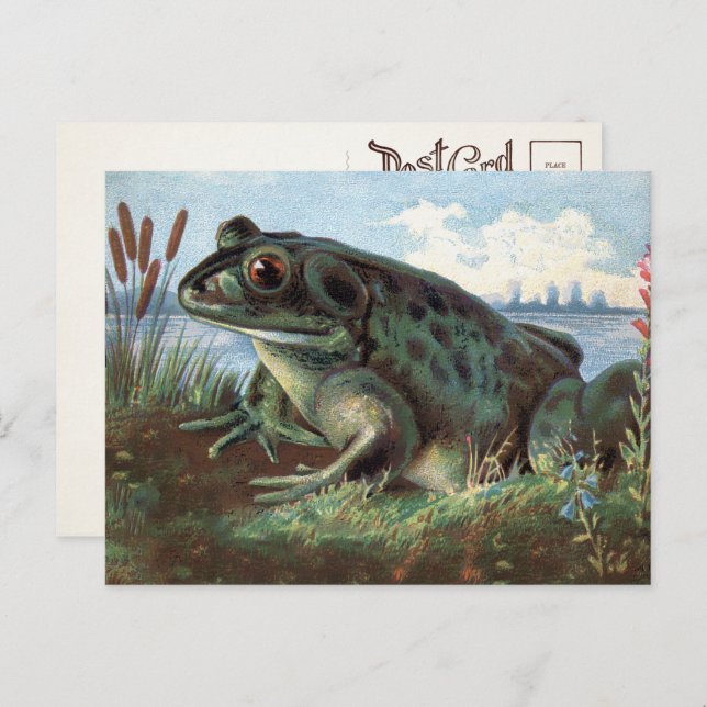 Carte postale Art Frog de Victoria  (Devant / Derrière)