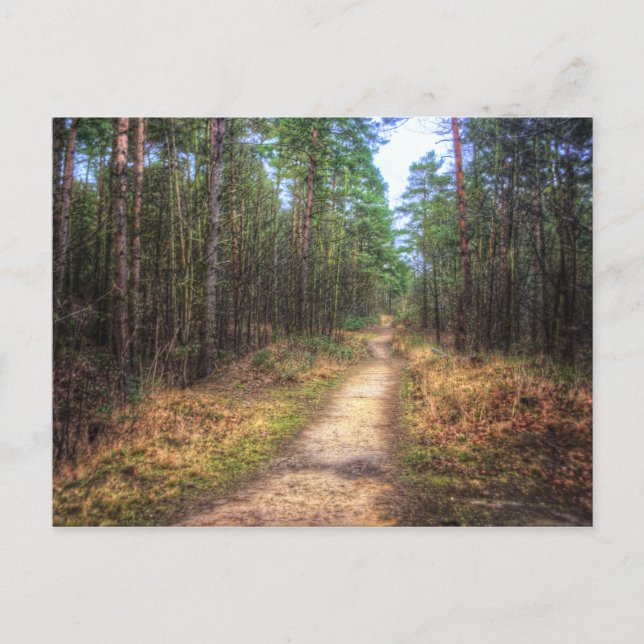 Carte postale Art HDR Forest Path (Devant)