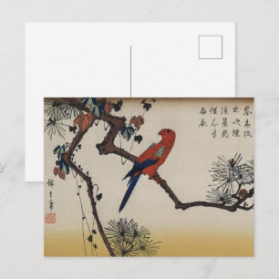 Carte Postale Art japonais, Macaw sur branche de pin par Kunisad