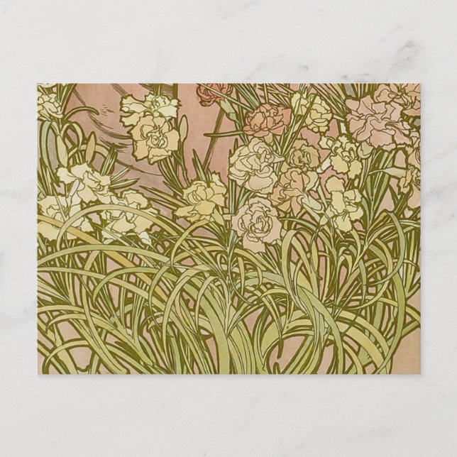 Carte Postale Art Nouveau Alfonse Mucha fleurs d'oeillets floral (Devant)