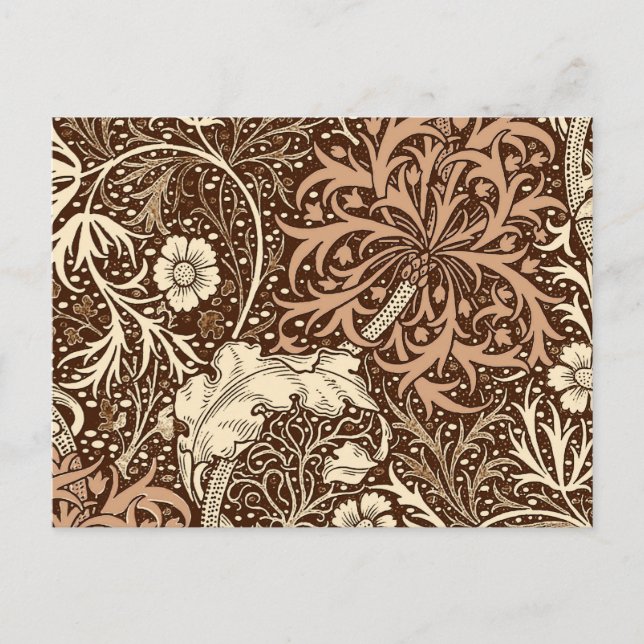 Carte Postale Art Nouveau Fleur d'algues, Brown et beige (Devant)