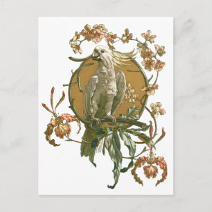 Carte Postale Art Nouveau vintage, Cockatoo Bird, Fleurs d'orchi