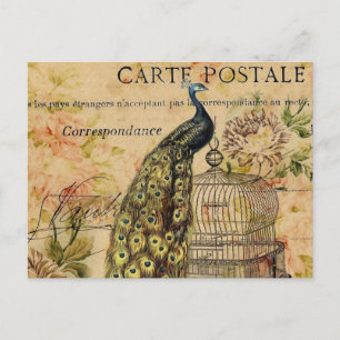 Carte Postale art nouveau vintage paon