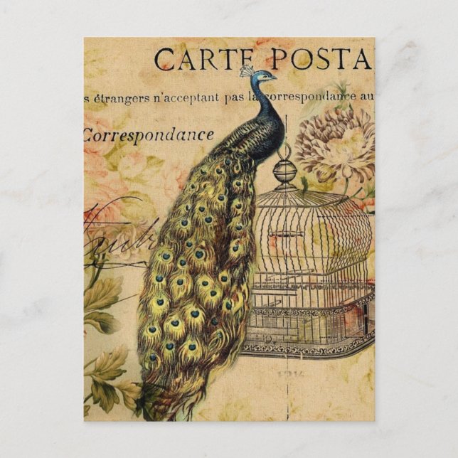 Carte Postale art nouveau vintage paon (Devant)