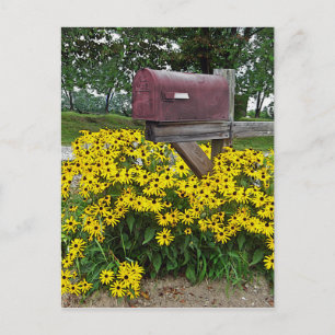 Carte Postale Art rustique de boîte aux lettres