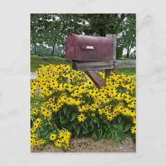 Carte Postale Art rustique de boîte aux lettres