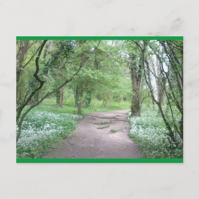 Carte postale Art Woodland Path 1 (Devant)