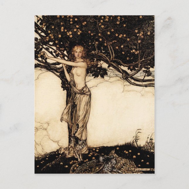 Carte postale Arthur Rackham Freya CC0329 (Devant)