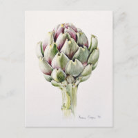 Artichoke Study 1993