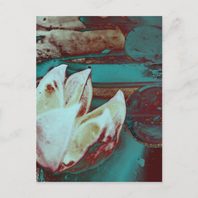 Carte Postale Artistic Water Lilly (Devant)