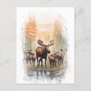 Carte Postale *~* Artsy AP49 MOOSE HERD Forest STREAM